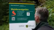 Hitzewelle: Waldbrandgefahr in Sachsen steigt auf zweithöchste Stufe