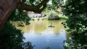 Hochsommer in Bayern: 35 Grad, Waldbrandgefahr und Flüsse über 26 Grad