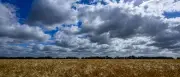 Hochsommer in Berlin: Temperaturen steigen auf bis zu 29 Grad