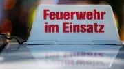 Hohe Waldbrandgefahr in Bayern: Brände durch Fahrlässigkeit