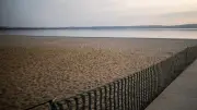 Hund beißt Mädchen (9) ins Gesicht am Berzdorfer See – Polizei fahndet nach Halter