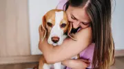 Hundetrainer: Diese Fehler machen Halter oft – und was besser ist