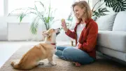 Hundetrainerin warnt vor gefährlichem Ragebaiting-Trend auf TikTok