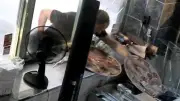 Hunger treibt Mann in Prag zu Pizza-Raub mit Verkehrsschild