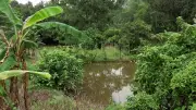 Indien: Elfjährige nach Vergewaltigung in Sack gesteckt und in Teich geworfen