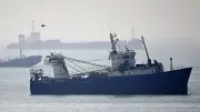 Iran stoppt sechs Schiffe in der Straße von Hormus: Gespräche mit Oman