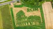 Irrgarten am Ammersee: Rom-Motiv im Pflanzenlabyrinth Ex Ornamentis