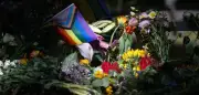 Islamismusexperte warnt vor Radikalisierung junger Männer nach CSD-Anschlag