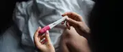 IVF mit einem Embryo reicht: Neue Studien widerlegen Zweifach-Einsatz