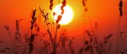 Juli 2026 in Deutschland ungewöhnlich warm und trocken