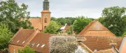Jungstörche in Brandenburg: Bestand im Storchendorf Rühstädt schrumpft
