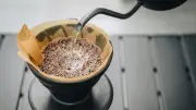 Kaffeezubereitung beeinflusst Alterung: Filterkaffee besser als Instant