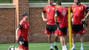 Kakerlaken-Alarm im DFB-Hotel: Kammerjäger viermal im Einsatz
