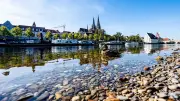 Keine Blaualgen in der Donau bei Kelheim: Entwarnung nach Tests