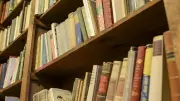 KI-Firmen kaufen massenweise Bücher und schreddern sie – Antiquar erhebt Vorwürfe