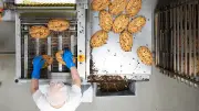 KI macht Dresdner Stollen sicherer: Bäckerei Reimann setzt auf Röntgen-Analyse