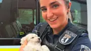 Kind schleudert Hundewelpen in die Luft: Polizei rettet „Spielzeug“-Hund