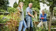 Kleingarten vs. Erholungsgarten: Welcher Garten passt zu Ihnen?
