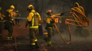 Kommentar: Waldbrand-Prävention in Europa muss besser werden