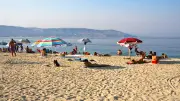 Kostenlos Urlaub: So klappt‘s mit Hunde füttern und Blumen gießen