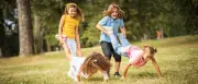 Kostenlose Sommerferien-Aktivitäten für Kinder in Berlin 2025