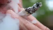 Landshut: 118 Joints und 146 Snus-Dosen an Tankstelle sichergestellt