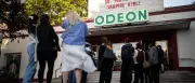 Letterboxd: Die Social-Media-Utopie für Filmfans und ihr Einfluss auf das Kino