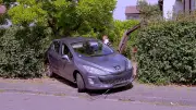 Ludwigshafen: Auto durchbricht Hecke und tötet Frau im Garten