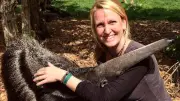 Lydia Möcklinghoff: „Maus“-Forscherin (45) stirbt bei Flugzeugabsturz in Brasilien