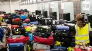 Malaria-Alarm am Frankfurter Flughafen: Vier Mitarbeiter infiziert