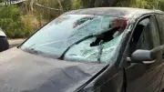 Mallorca: 21-jähriger Hotelangestellter tötet Urlauber bei Jogging-Unfall