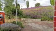 Mauerpark: Sonnenhügel droht abzurutschen – Bauarbeiten laufen