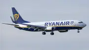 Mückenschwarm legt Ryanair-Flug in Mailand lahm – drei Stunden Verspätung