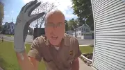 Millionen feiern Paketboten-Ausrede: Die viralen Videos der Woche