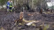 Moorbrand bei Diepholz: Aufwendige Löscharbeiten auf vier Hektar