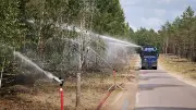 Müritz-Nationalpark: Alle Wege nach Großbrand wieder freigegeben