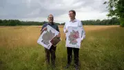Nabu-Index: Grünflächen-Verlust lässt Städte stärker aufheizen