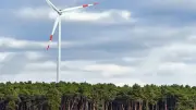 Nabu Sachsen lehnt Windkraft im Wald ab und fordert naturverträglichen Ausbau