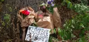 Nach CSD-Angriff: Forscher warnt vor AfD-Profiteuren