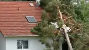 Nach einem Sturm das Haus richtig untersuchen: Tipps vom BBK und VPB
