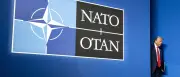 Nato-Gipfel in Ankara: Europäer wollen Eklat mit Trump vermeiden