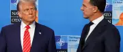 Nato-Gipfel in Ankara: Trump, Ukraine und die Zukunft des Bündnisses