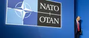 Nato-Gipfel in Ankara: Trumps Zweifel an Bündnissolidarität zerstreuen