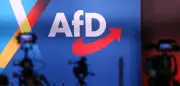 Neuer AfD-Parteisprecher Jork Herrmann kommt vom Institut der deutschen Wirtschaft