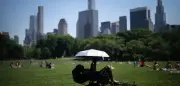 New York: 38 Grad im Central Park – 14-Jahres-Hoch bei Hitzewelle