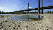 Niedrigwasser in Rhein, Elbe und Donau: Binnenschifffahrt kämpft mit Folgen