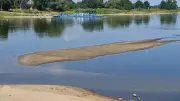 Niedrigwasser in Sachsen: Elbe, Neiße und weitere Flüsse betroffen