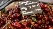 Obstbauern in NRW: Gute Ernte trotz Konkurrenz und Klimawandel