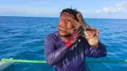 Oktopus rächt sich: Achtarmiger Angriff auf Fischer