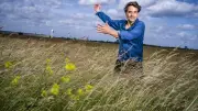Oliver Mommsen liebt das Tempelhofer Feld: Freiheit in Berlin